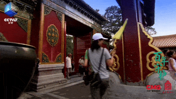 总台周末看点丨点开！元气满满