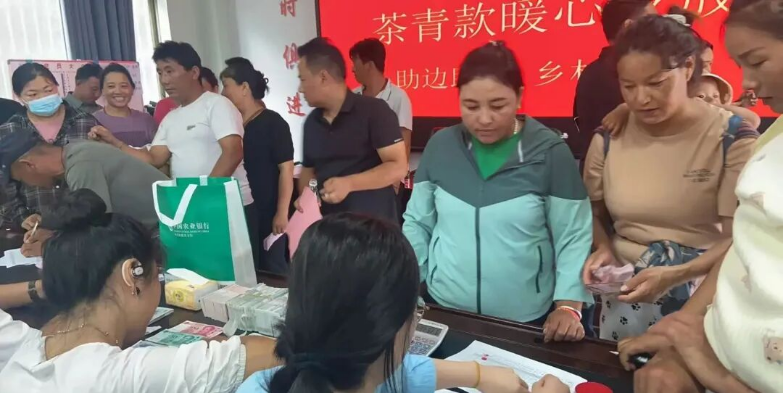 茶香漫峡谷 绿叶变“金叶”――西藏墨脱采茶人劳务品牌的2025年答卷