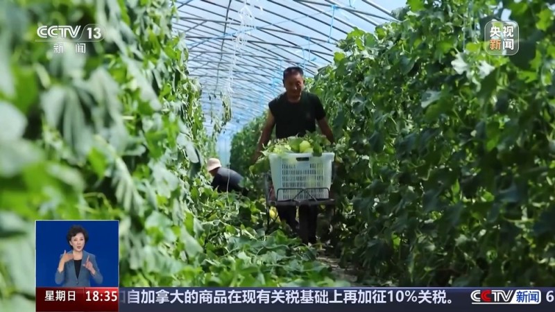 从实验室、生产线到千里沃野 解锁农业“新吃法”“新玩法”