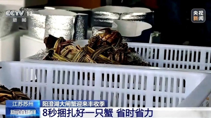 金秋品蟹正当时 如何挑选肉厚膏满的螃蟹？