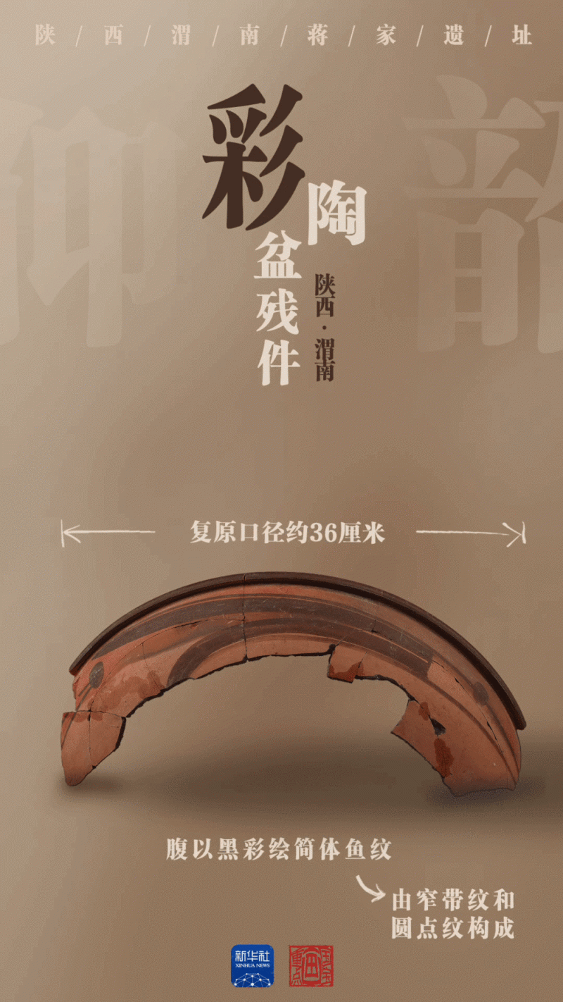 国宝画重点｜陶器上新！陕西蒋家遗址展现史前文明景象