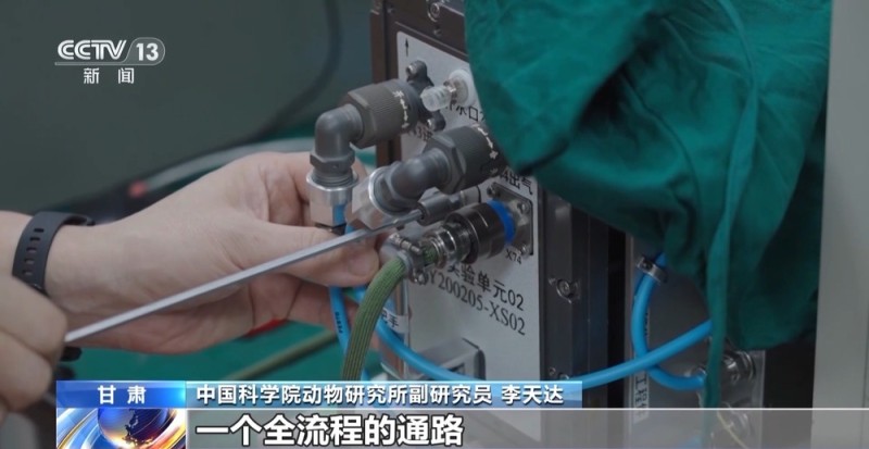 视频丨神舟二十一号带6项实验样品上天 为什么有4只小鼠？