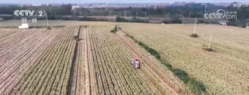 多举措协同全力推进秋收 高科技农机与时间“赛跑”抢收抢种