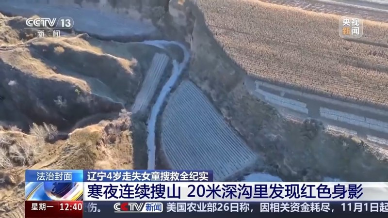 法治在线丨4岁女童失踪44小时 上万人次搜救下的生命奇迹