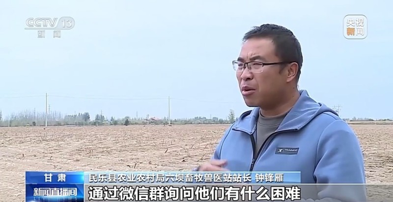 65万牛羊异地过冬 借牧双方资源互补催生产业新模式