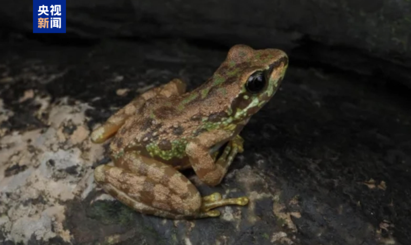 7点出发｜“头上虫卵用30支药水”！男子理发花6万元，最新进展→