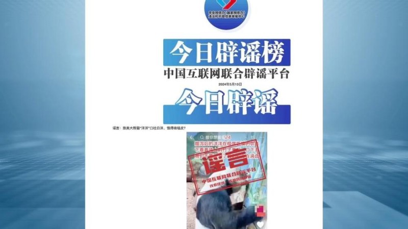 国宝之“伤”：“大熊猫被虐待”网络谣言案调查