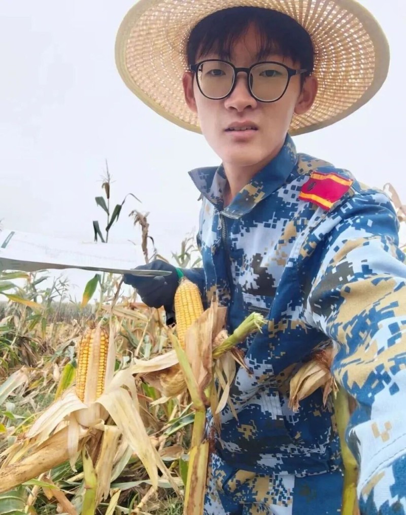 “我多弯一次腰,父母就少吃一点苦!”大学生8天假期掰了7天半玉米