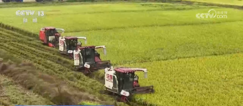 厘米级精度收割、“农田哨兵”应用……秋收“科技范儿”为粮食安全注入新动能