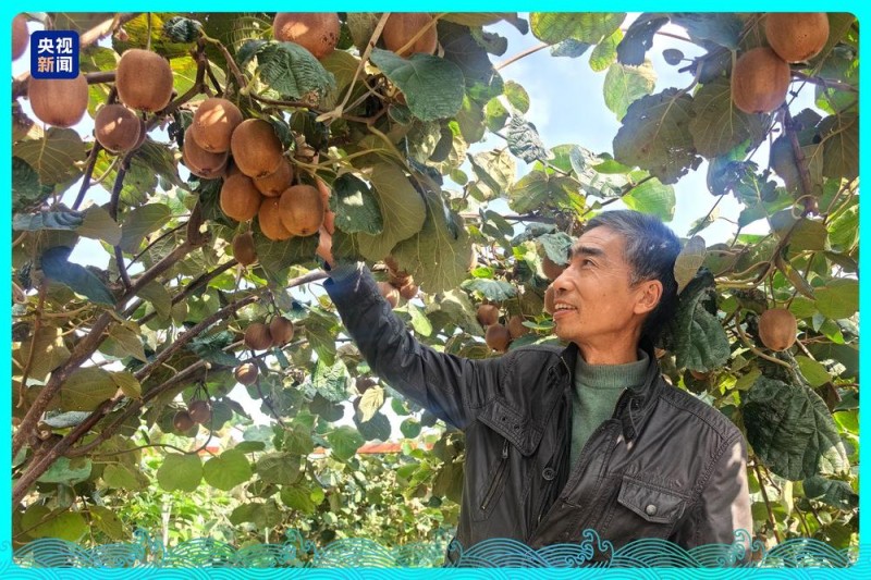 行走江河看中国丨水润三秦 看陕西如何碧波织锦