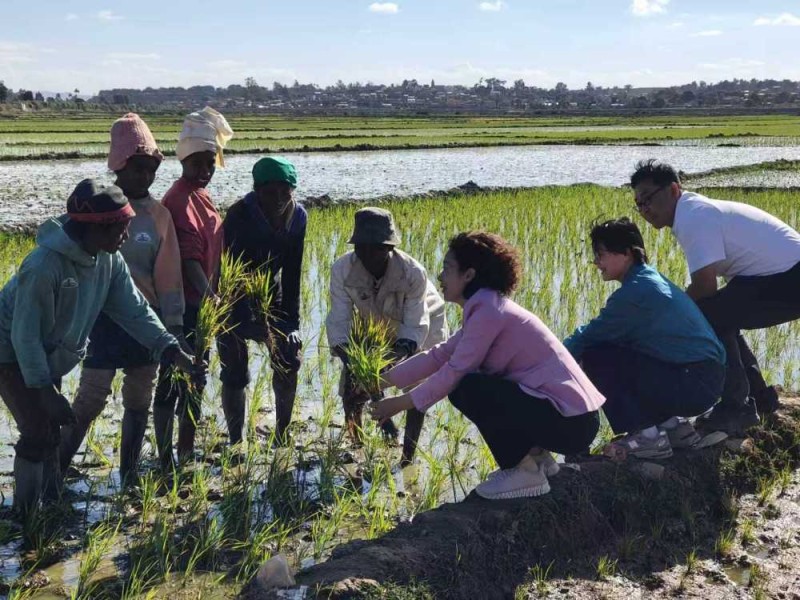 全球妇女峰会活动上,这三张照片背后有故事