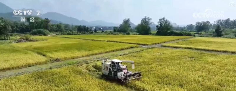 科技服务秋收 无人机架起空中“运粮桥”确保秋粮应收尽收