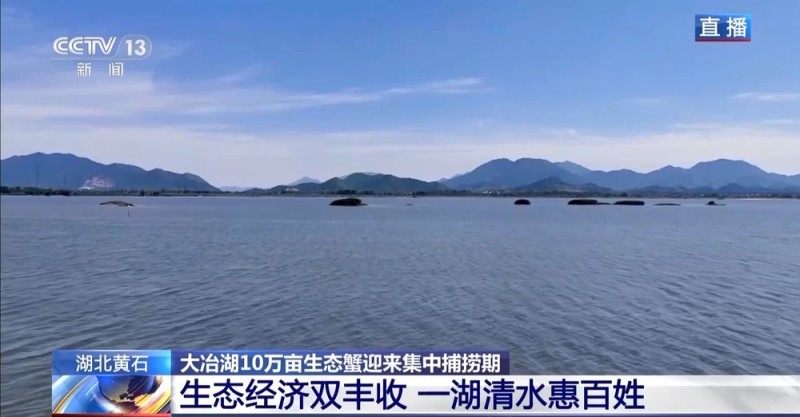 视频丨10万亩生态蟹即将发往餐桌 工人师傅教你如何挑选“满膏蟹”