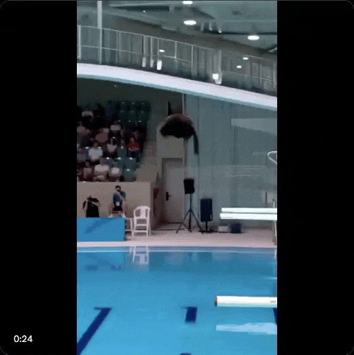 一边上头一边反胃，AI 猫片为何让人停不下来