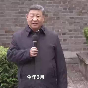 文脉华章｜经纬线·在木府，寻找文化的颜色