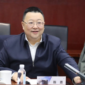 中央决定：陈勇履新职