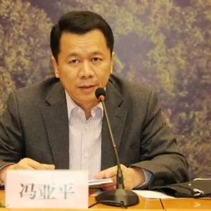 原司长冯亚平,受贿数额特别巨大