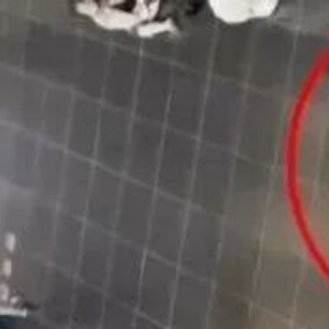 台媒:台北车站大厅性侵案侦结,通缉犯性侵香港女游客被检方请求判刑7年