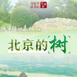 习近平总书记关切事｜北京的树