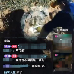 男子直播挖蛇被咬,去医院后没打血清就自行离开,知情人:仍无音讯
