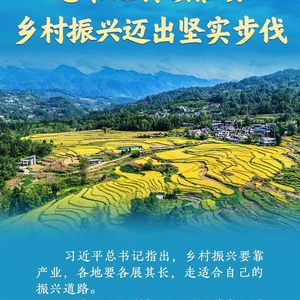 学习新语丨总书记引领推动乡村振兴迈出坚实步伐