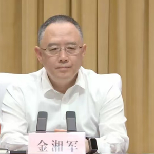 山西省原省长金湘军，落实党中央决策部署打折扣、搞变通、敷衍应付