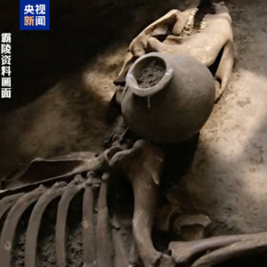 考古学家确认汉文帝霸陵出现“进口宝马”