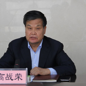 高战荣，被查