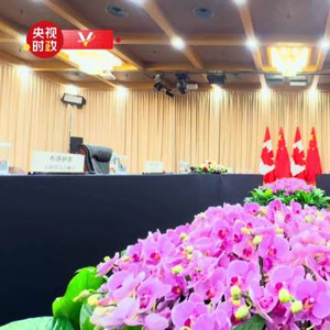 习近平将会见加拿大总理卡尼