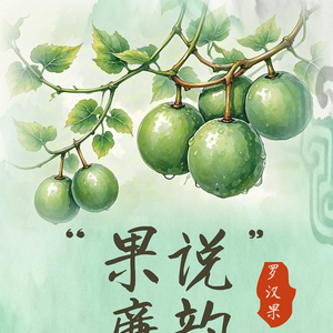“果说”廉韵丨罗汉果：以果喻廉 守正持节