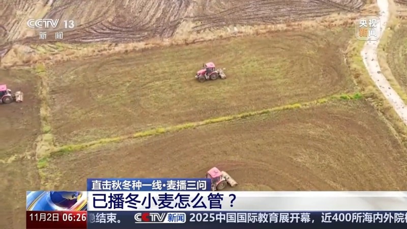 视频丨如何种好“过冬客人”冬小麦？专家介绍三个播种技巧