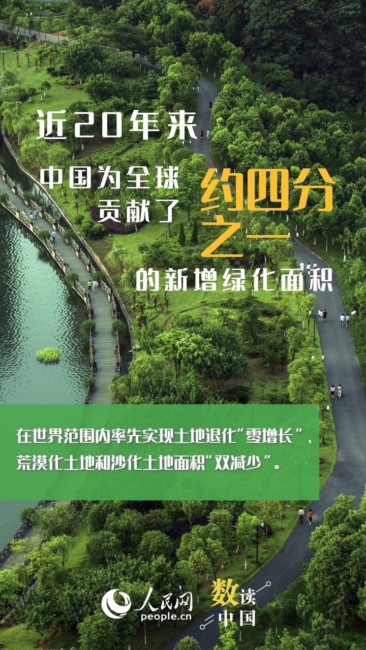 数读中国丨看这抹绿何以赏“新”又悦目