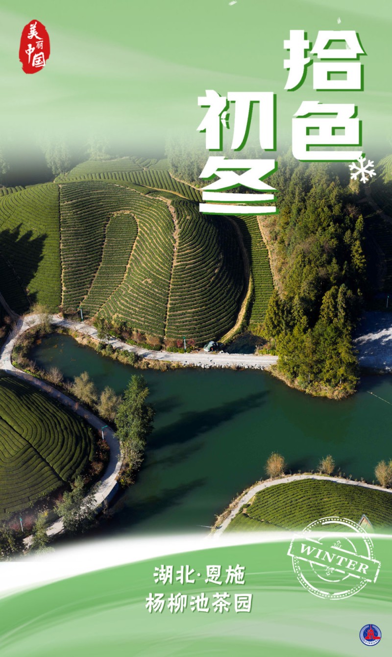 海报｜美丽中国・拾色初冬
