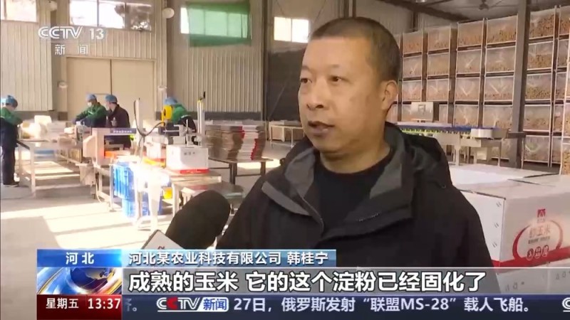 视频丨包装玉米是“僵尸玉米”？专家解读