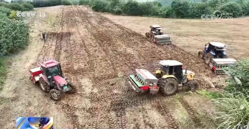 全国冬小麦播种过八成 粮食主产区有力推进秋冬种