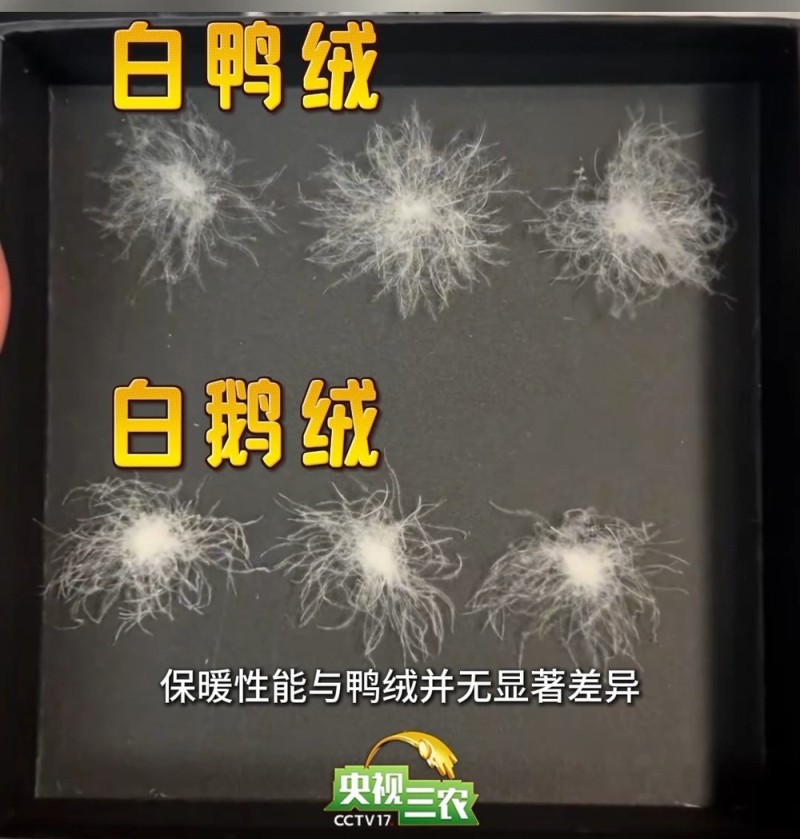 视频丨买羽绒服当心这些陷阱 一不留神就会买到“教训”