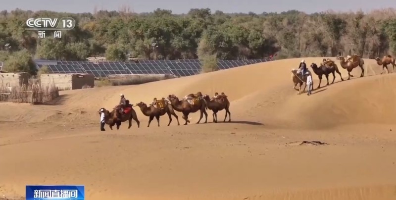 从“死亡之海”到“水产绿洲” 解锁新疆“点沙成金”的密码→