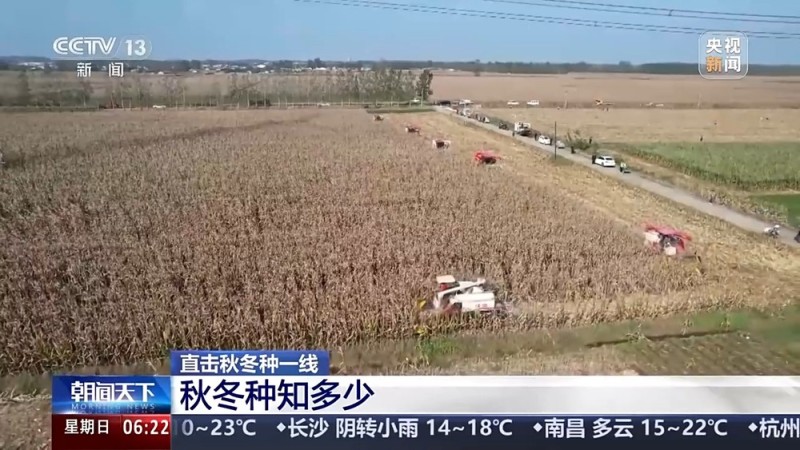 视频丨如何种好“过冬客人”冬小麦？专家介绍三个播种技巧