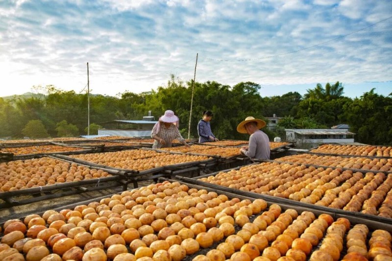 8年攻坚,5年巩固,近1亿人稳定脱贫,中国为什么能?