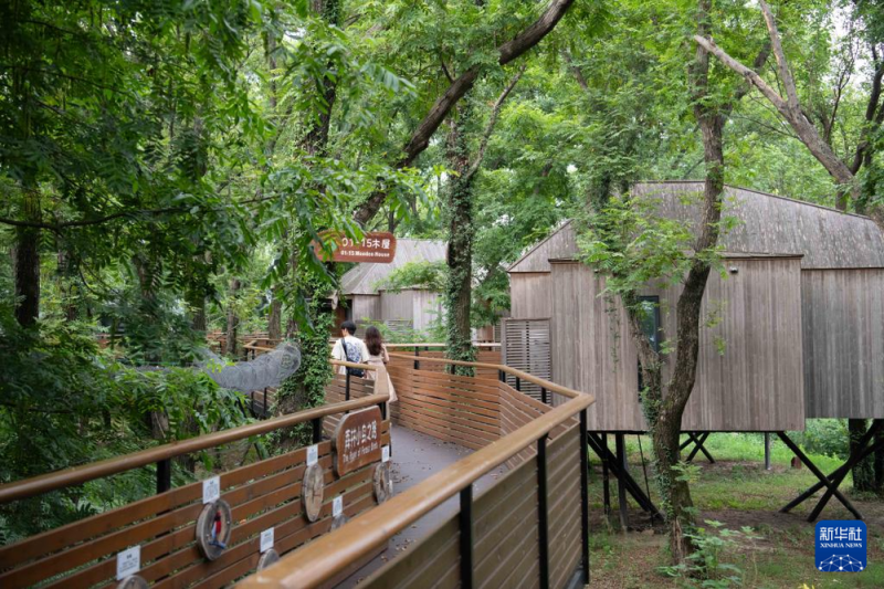 中国经济样本观察・县域样本篇丨从“养在深闺”到惊艳世人――揭秘庐江之变的密码