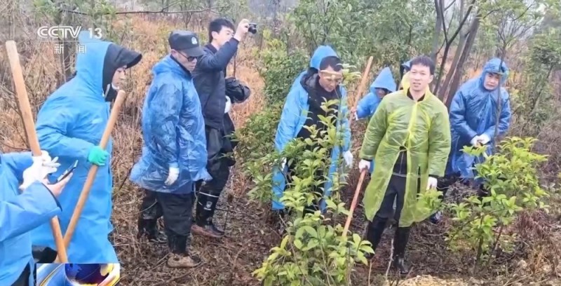 法治在线丨百万金饰被藏隐秘的角落 警方靠两分钟犬吠声破案