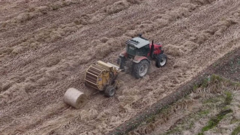 新华视点丨乡村振兴路 绿色富民图