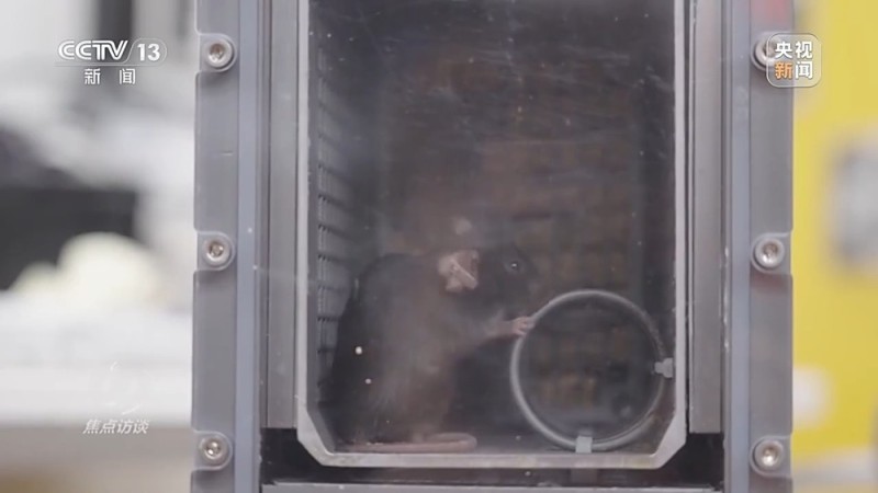 焦点访谈丨中国航天奏响新乐章 神二十一有接力更有突破！