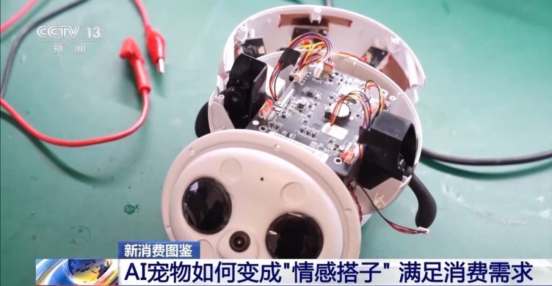 AI宠物、AI眼镜……“科技+”如何改变日常生活?