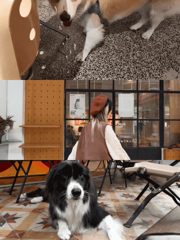 Live Photo 的十年故事，将被如何续写？