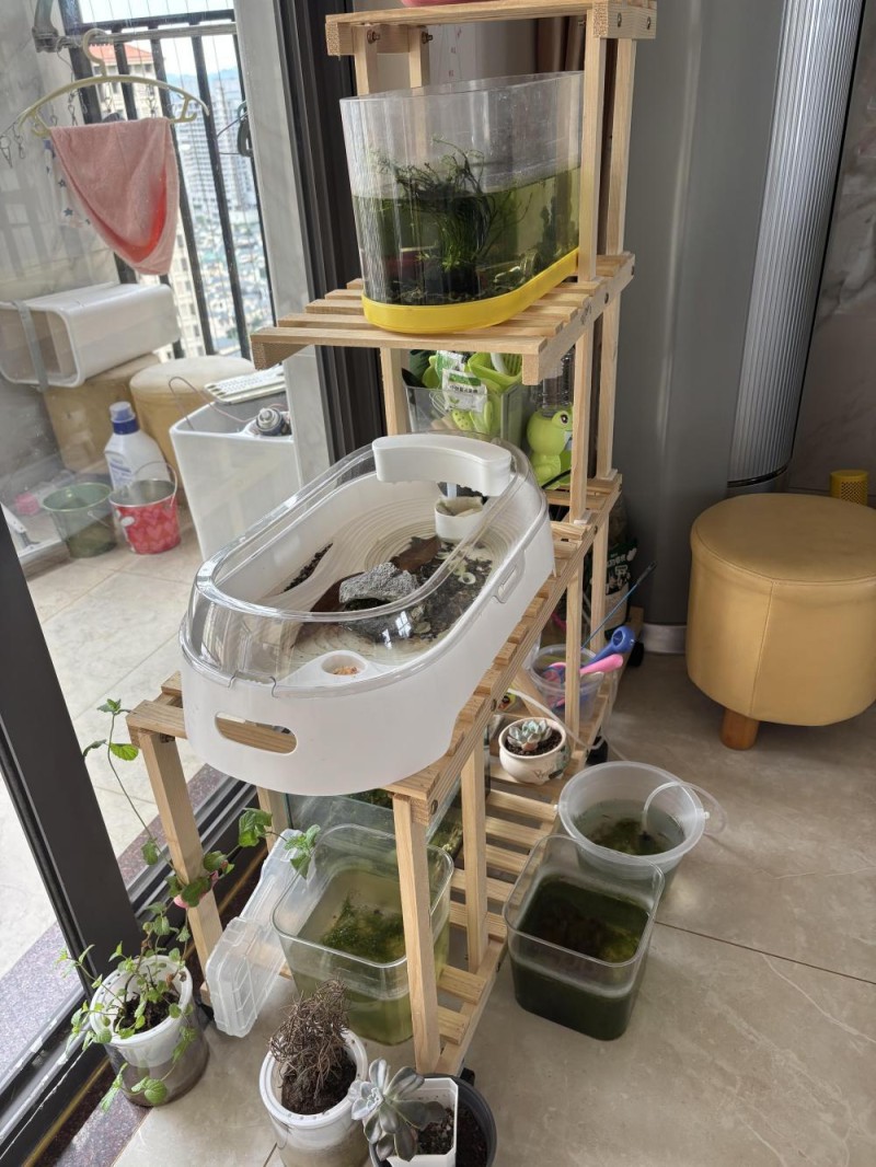 全运会|闲记:时代造就被羡慕的孩子