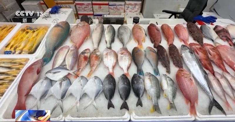 民间埋怨 学界斥责 多国批判 高市错误言论陷四面楚歌