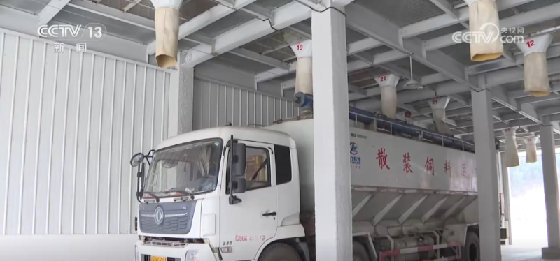 机器人上阵、强化服务……各地多措并举护航秋粮收购“加速跑”