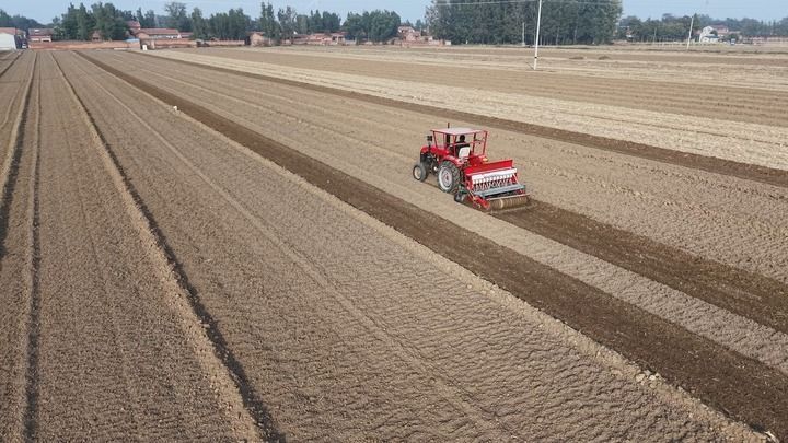 今冬不放松，来年“丰”可期――多地冬种及田间管护见闻