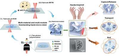 中国科学院团队打造3D手型微纳机器人――“手到擒来”的微观“快递员”